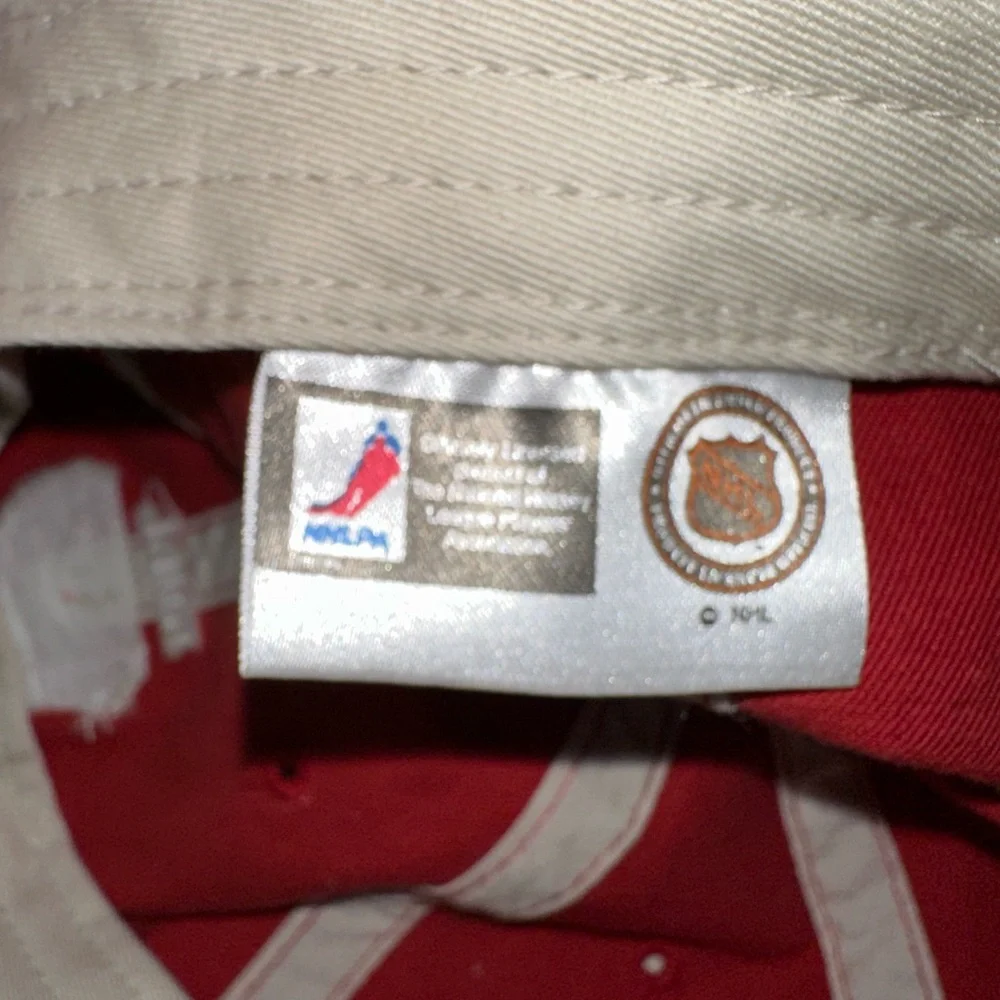 Detroit Red Wings #17 Brett ? Hull Cap